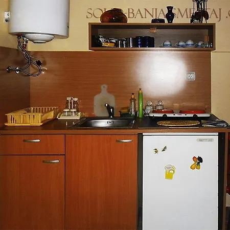 I Stefan Nemanja Soko Banja