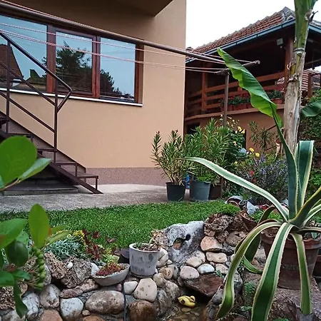 Apartman I Stefan Nemanja Soko Banja